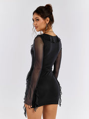 Sheer Elegance Bodycon Dress