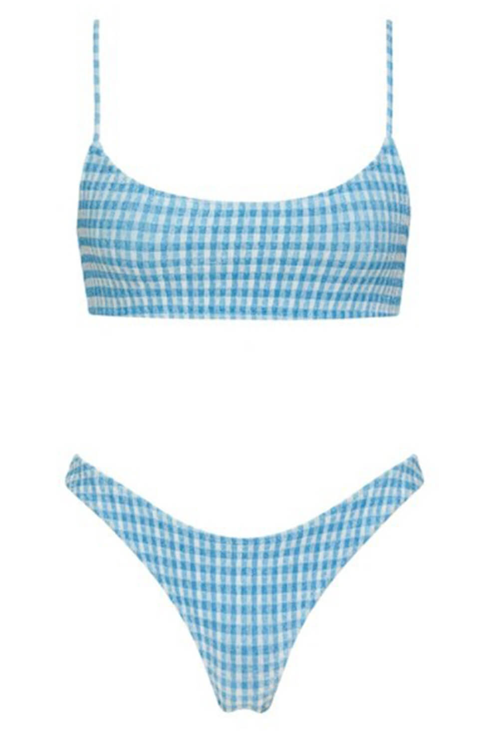 Blue Check Textured Bikini Bottoms